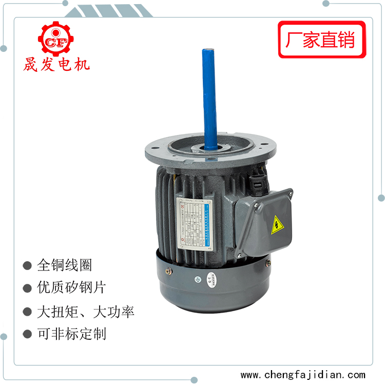 90W耐高溫長(zhǎng)軸電機(jī)
